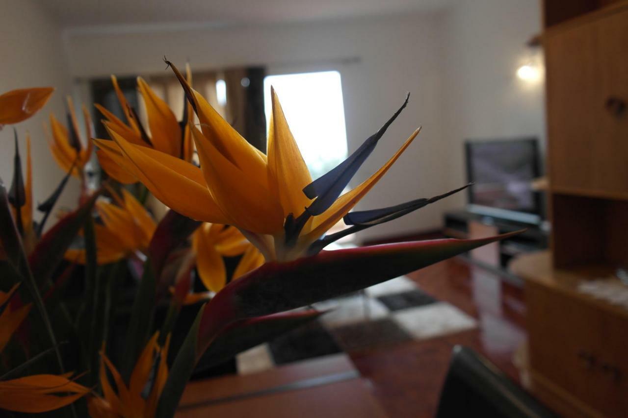 Inmaculado Apartment Funchal  Luaran gambar